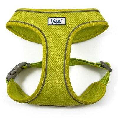 Ancol Mesh Comfort Harness - Small and Medium Dogs - Lime