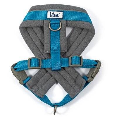 Ancol Viva Padded Harness for Small Breed Dogs - Blue