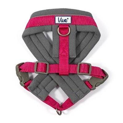 Ancol Viva Padded Harness for Small Breed Dogs - Red