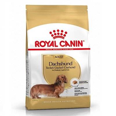 Royal Canin Dachshund Complete Adult Dry Dog Kibble