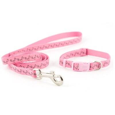 Ancol Small Bite Paw n Bone Collar & Lead Set