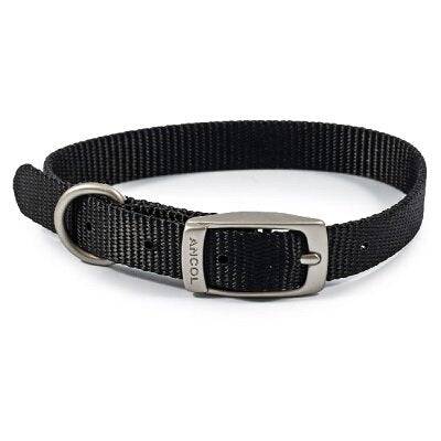 Ancol Viva Buckle Collar