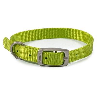 Ancol Viva Buckle Collar