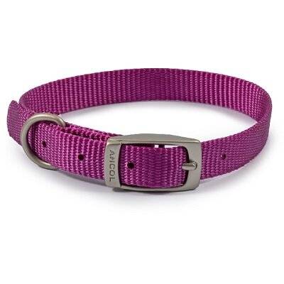 Ancol Viva Buckle Collar