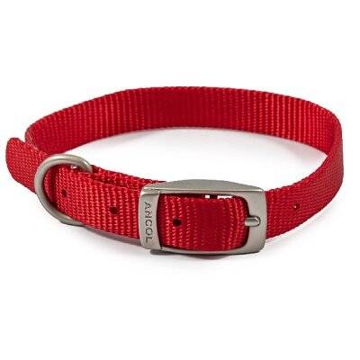 Ancol Viva Buckle Collar